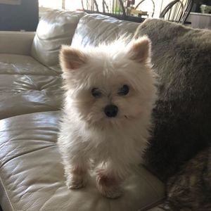 Meet your Posher, Leanne